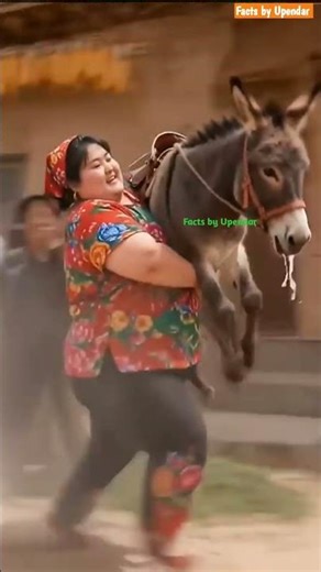 I Bought a Donkey... But It Couldn't Handle My Weight! The Funniest Ending Ever!