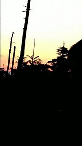 20260516弥山で松岡修造の言葉「起き上がらなきゃ」「太陽だから」