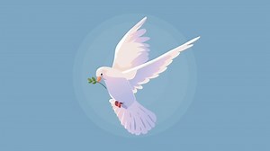 animación de vuelo de pájaro palomino: video de stock (totalmente libre de regalías) 1092638533 | Shutterstock