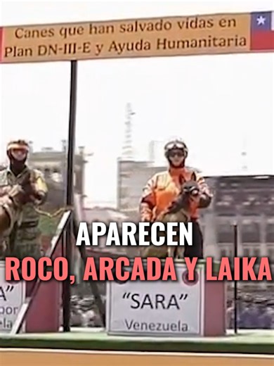 Perros rescatistas desfilan frente a Sheinbaum