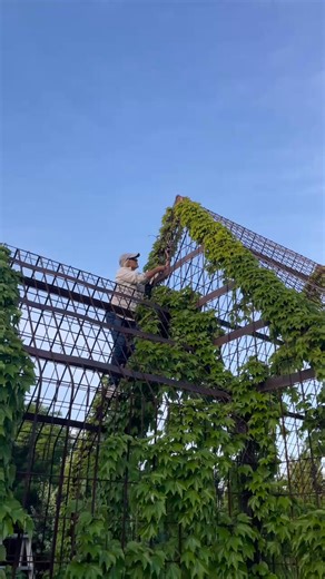 3.9K views · 95 reactions | Just a little behind-the-scenes Bewitched magic ✨ Setting up for our Dinner Under the Stars this Saturday night — a twitch of the nose and our lights finally came to life!  #dinnerunderthestars #bungalowmagic #tenterfield #behindthescenes #motherdaughtermoments #bewitched #springnights #eventsetup #countrycharm | The Bungalow & Ivy Leaf Chapel B&B | Facebook