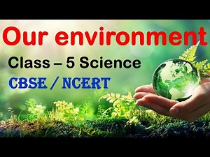 Types of Pollution Video Lecture - Class 5