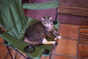 $27 Quotes: "A progressive agenda is a winning agenda."