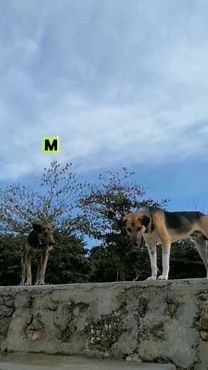 Mag-ingat ka. #attitude #Respect #fypシ゚ #reelsviralシ #reallife | Edith Gabon Pepito - Cimafranca