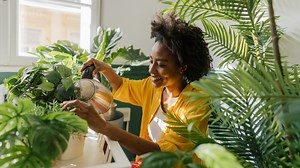 The Ultimate Guide To Buying Plants From IKEA - House Digest