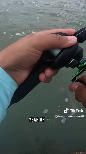 Dock Fishing for Keeper Fish: Catching Trout with Live Bait