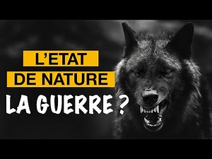 L'état de nature – Intro à la philo politique avec Wolff (1/6)