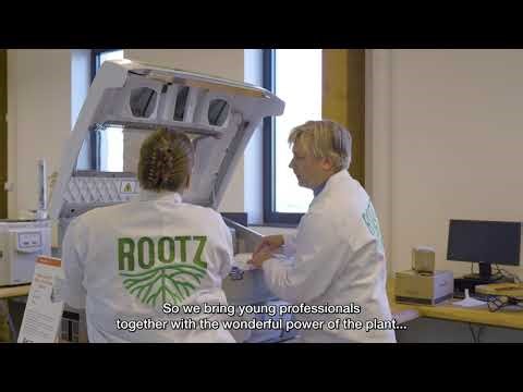 Rootz - JTF - ENG subs