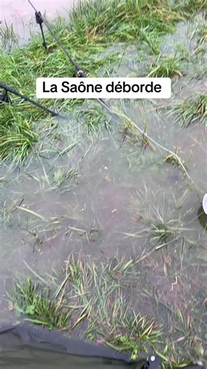 monstersrivercarp sur TikTok