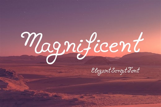 Magnificent - Elegant Script Font - Etsy
