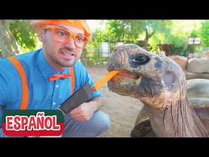 Español - el zoológico