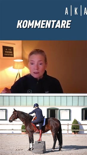 Why doesn't food help in horse training?