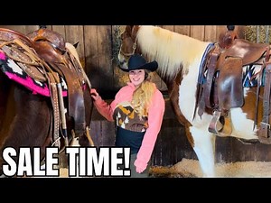 Browsing The Horse Auction! What Will We Find?