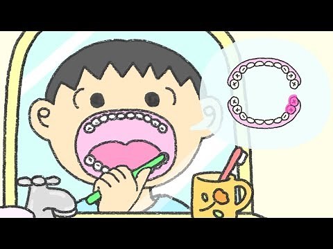 はみがきのうた【子どもの正しい歯みがき】