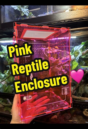 Cute and Quality Pink Reptile Enclosure for Pets