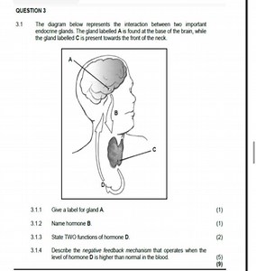 3.1 The diagram below represents the interaction between two im... | Filo