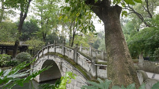 A slice of Chengdu: People's Park, a hub of activity