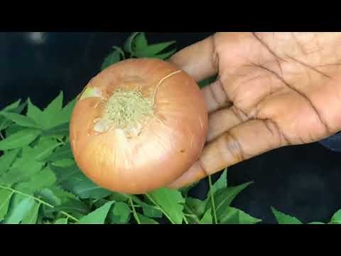 Natural Way to Stop Over bleeding,Heavy bleeding or Heavy Period |HOME REMEDY |