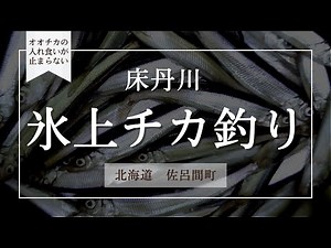 【氷上釣り】床丹川で良型チカ連発！