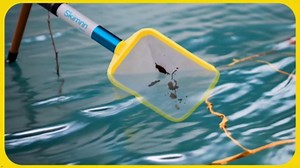 The Skimmie Replacement NET ONLY Durable Fine Mesh Pool Net for Efficient Cleaning of Floating Debris in The Skimmier, Spa, Hot Tub, Ponds and Small Pools