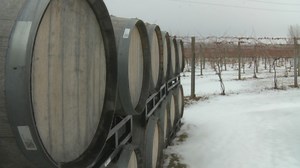 Greenleaf residents raise concerns over potential land sale, rumored data center