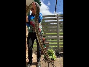 Here is our Top 10 Snake Catching Moments of the Year! 🎉