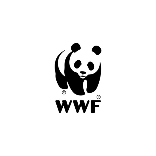 1.2K views | ¡La adopción simbólica de un panda es el regalo perfecto para los amantes de la naturaleza!  Así también estarás apoyando nuestro trabajo de conservación. | WWF Chile | Facebook