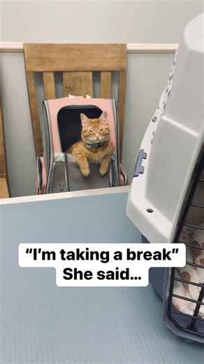 79K views · 3.7K reactions | I was going to take a little break from...