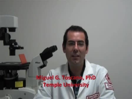 Cecal Ligation Puncture Procedure