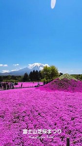 春の富士山と芝桜🌸 Mount Fuji in Spring Japan | Japan 4K Fuji