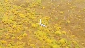 Floatplane Crashes in Alaska Leaving 3 Dead, 7 Hurt