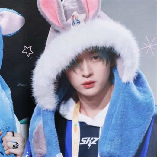 LEEMINHO: O Amor Por Stray Kids e Lee Know