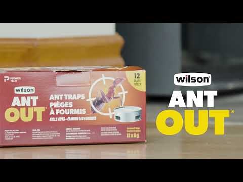 Comment utiliser les pièges à fourmis ANT OUT de Wilson