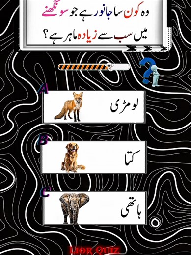 Animal Quiz General knowledge Quiz Questions #brainquiz #quiz #viralquiz #generalknowledge #quizchallenge