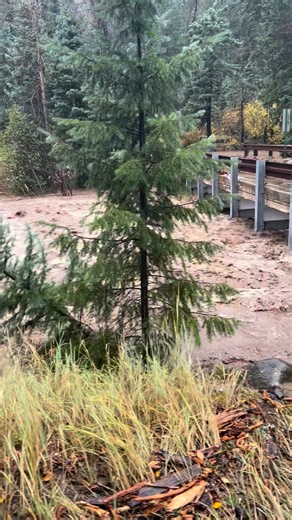 With rain continuing, rivers continue to rise around BSR. Officials closed the West Fork Road at the Wolf Creek bridge for safety reasons. | Bruce Spruce Ranch