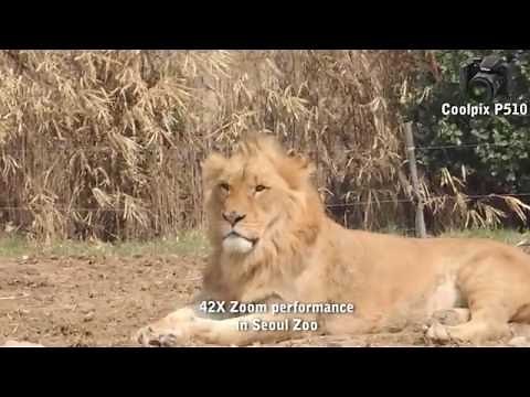 Nikon coolpix P510 Review