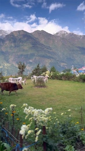Lukla Airport, officially known as Tenzing-Hillary Airport, is renowned as one of the most thrilling and challenging airports in the world. Nestled in the heart of the Himalayas at an altitude of 2,860 meters, this tiny airport serves as the gateway to the Everest region. The flight into Lukla offers breathtaking views of snow-capped peaks, deep valleys, and lush greenery, making it an unforgettable experience for every traveler. The short runway, perched on a steep incline, adds an element of a