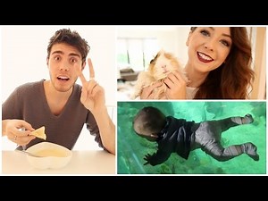 A Day In The Life Of PointlessBlog