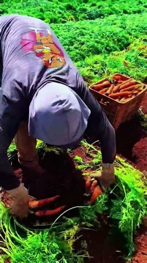 Manual grinding process using hand tools for controlled surface finishing