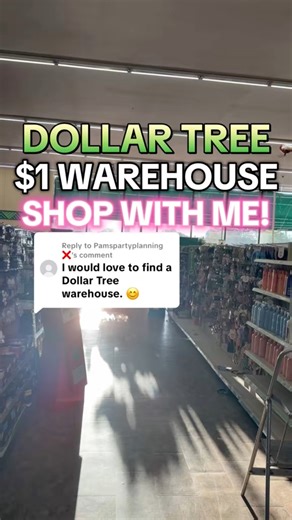 HEAVEN .. OR AN XL SIZE DOLLAR TREE WAREHOUSE?! #dollartree | Dollar Tree Dollie