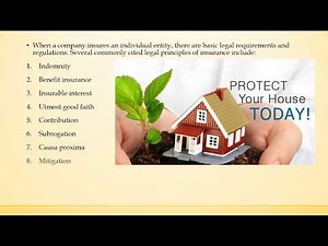 Characteristics and Objectives of Reinsurance, Principles of Insurance Video Lecture | Principles of Insurance - B Com