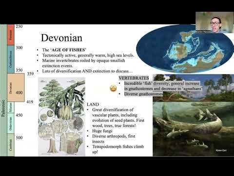 Lecture 9 End Devonian Mass Extinctions the First Forests Feb 6