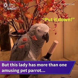 This woman's adorable parrot has the cutest bond with her pet dog! 😍 | VT