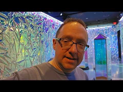 Wondra Experience at Woodfield Mall