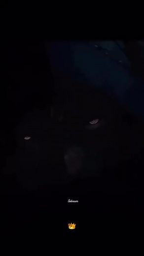 JM Martinez on Reels