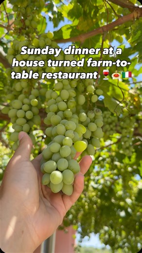 13K views · 1.2K reactions | Sunday dinner in the heart of Calabria at a home turned farm-to-table restaurant, where every dish tells a story!   @lacasadelgusto_homerestaurant #brooklynbitess #italianfood #italian #sundaydinner #calabria #visititaly #igersitalia | Brooklyn Bitess | Facebook