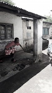 Koma Dancehall force sadzatheka gyz 🤣😂😂 | DANCEHALL FORCE