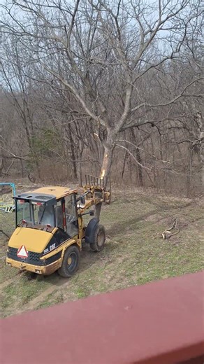 And their it goes . 906 cat at work