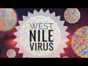 West Nile Virus - cause, transmission, Clinical manifestations, diagnosis and treatment
