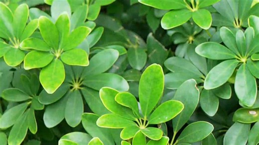 一个视频教你三步连接轻松Quik，进来学